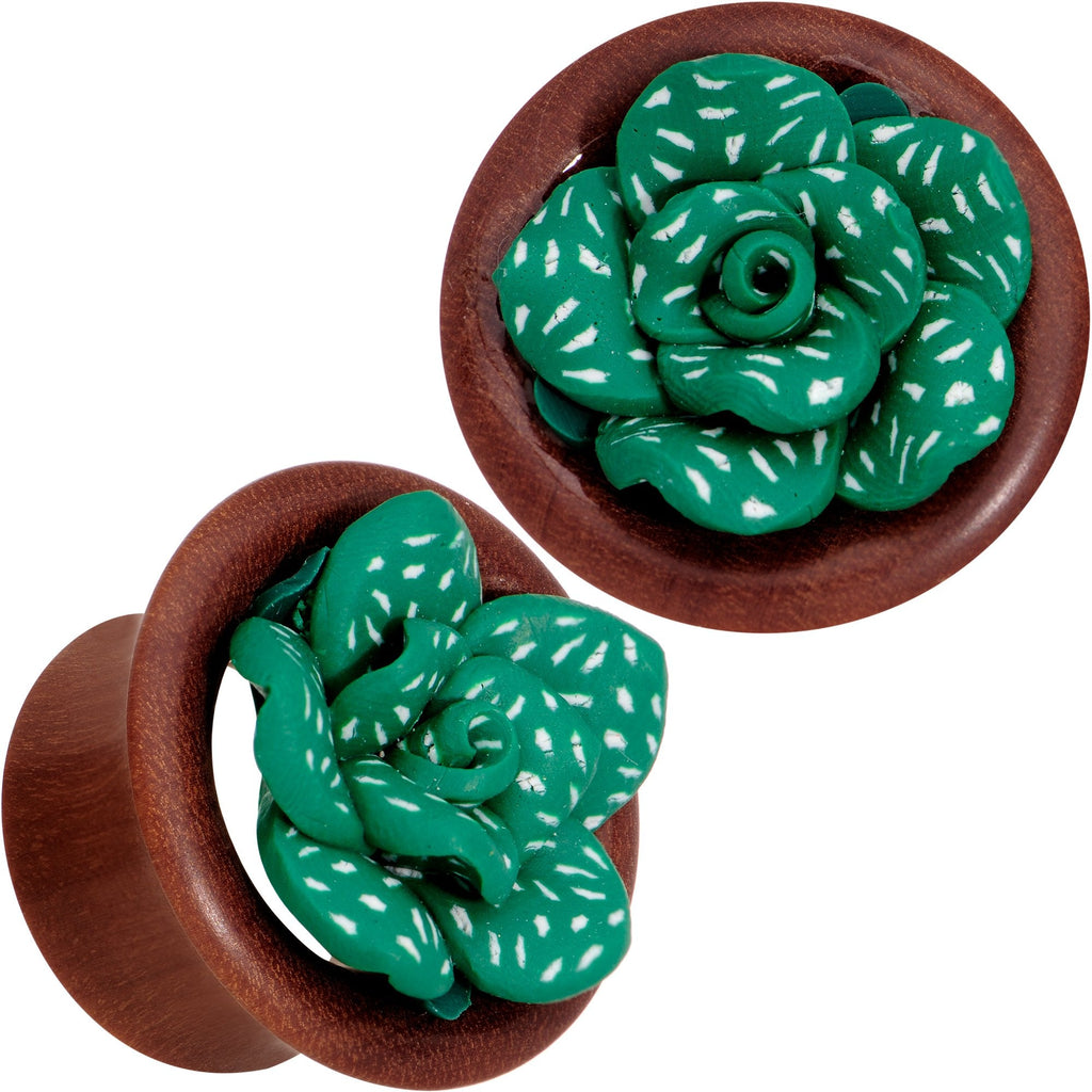 BodyCandy Handcrafted Rosewood Speckled Green Succulent Saddle Plug Set Sizes 14mm to 20mm — branding close-up