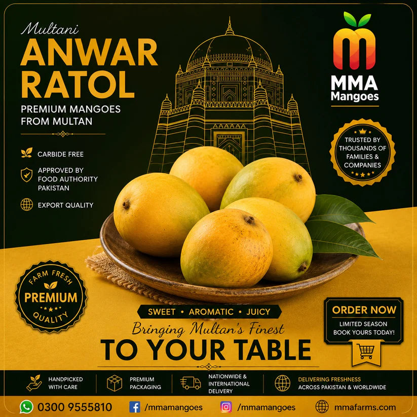 MMA Mangoes