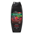 Palmolive Men Purifying & Uplifting Shower Gel - Natural Charcoal, Multi-purpose Cleansing for Body, Hair, Face & Beard