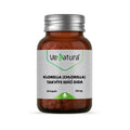 Venatura Klorella Chlorella Supplement - Natural Algae Detox & Dietary Support, 60 Capsules