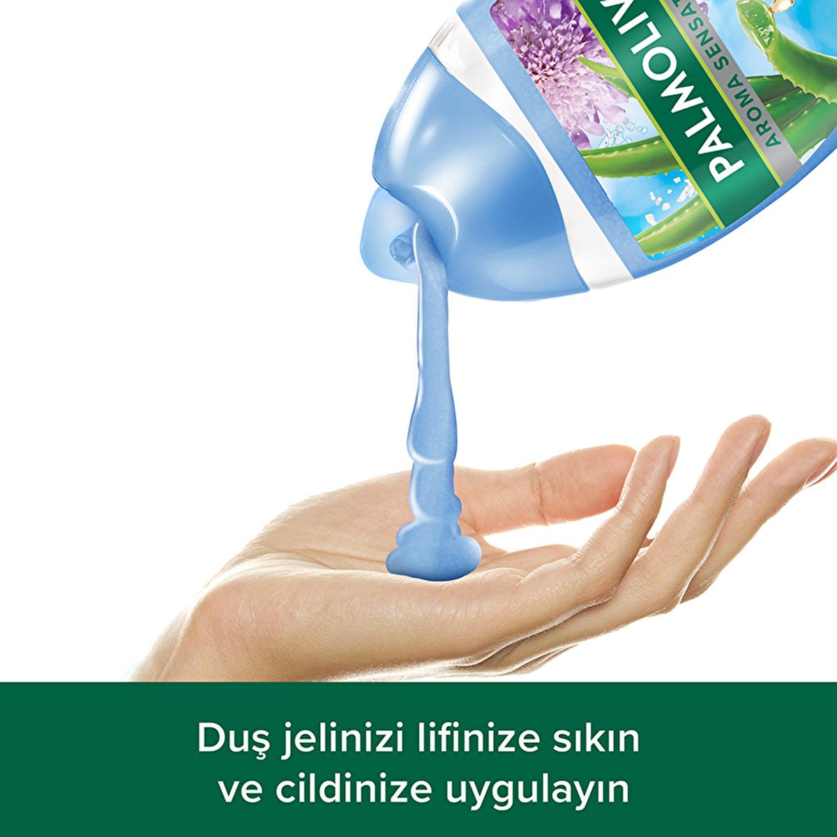 Palmolive Aroma Sensations Natural Shower Gel with Dead Sea Salt & Aloe Vera - 8.45 fl oz, Nourishing & Organic Body Wash