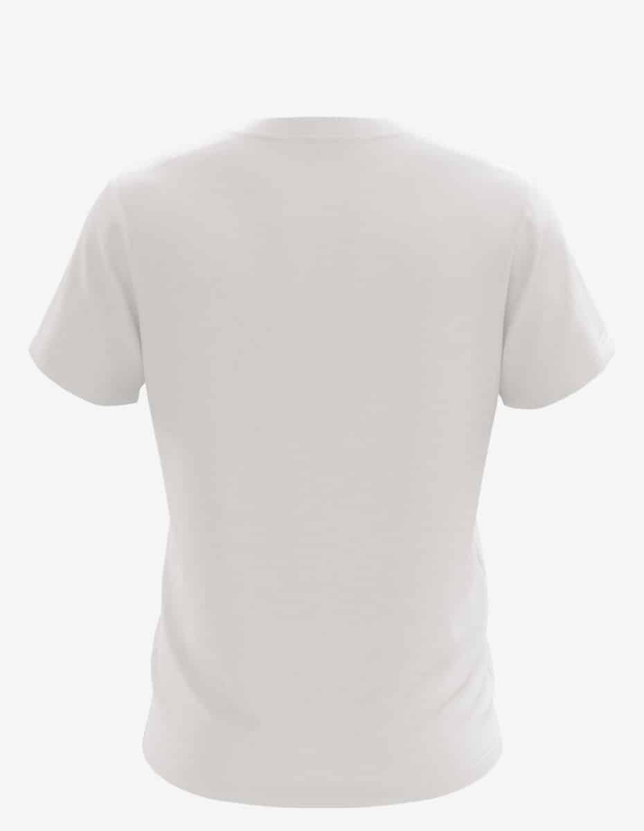 Prepared For Dye 2100 – SpectraUSA, view 2