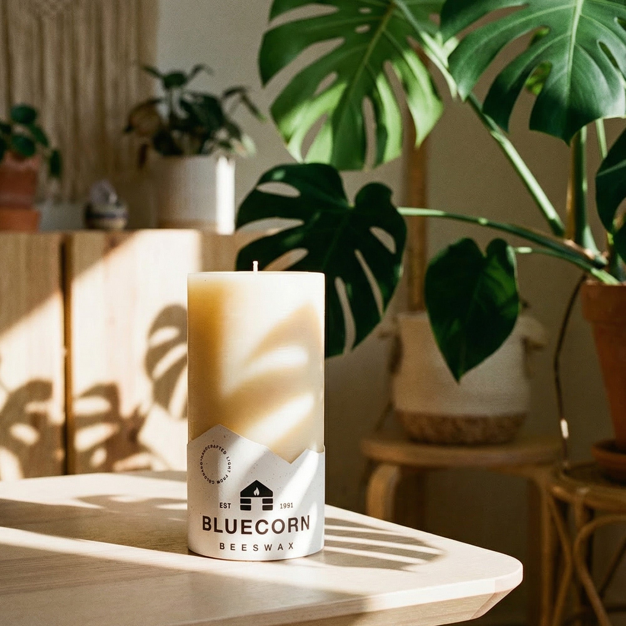 Ivory Pure Beeswax Pillar Candles