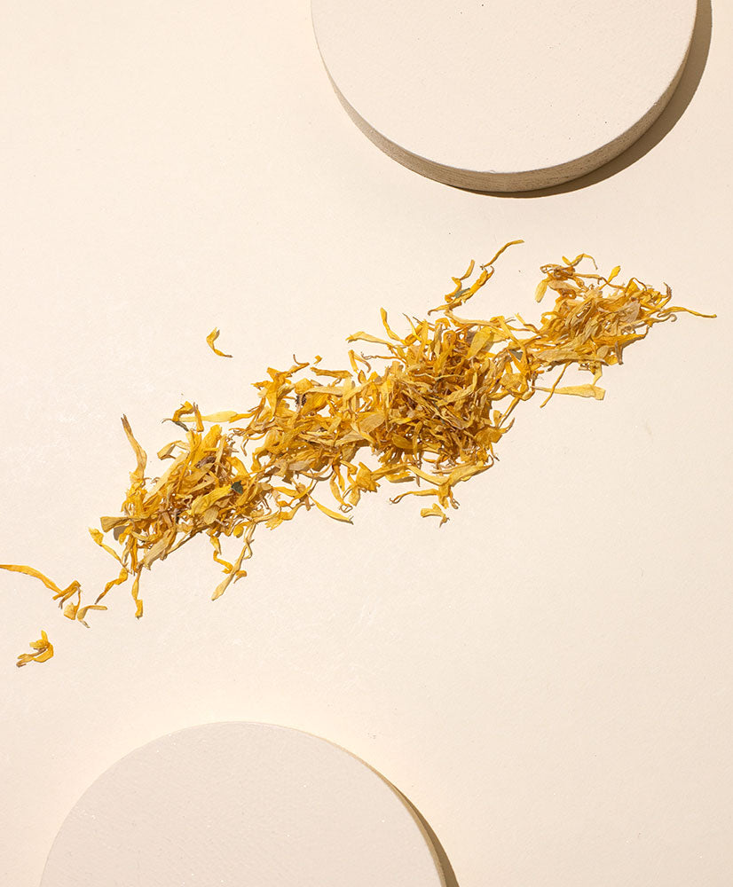 calendula petals – makesy®