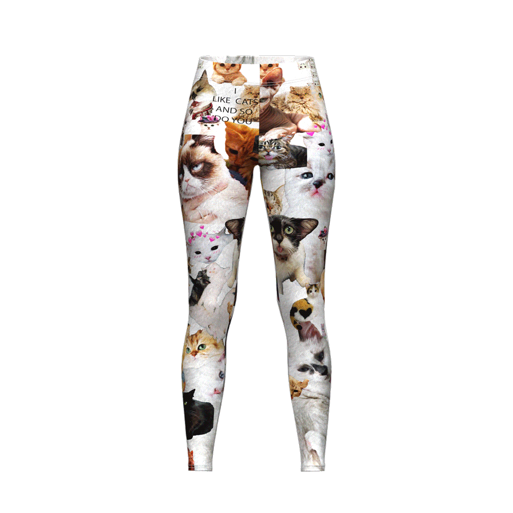 Cats n Scribbles I Like Cats and So Do You Leggings — in-use photo