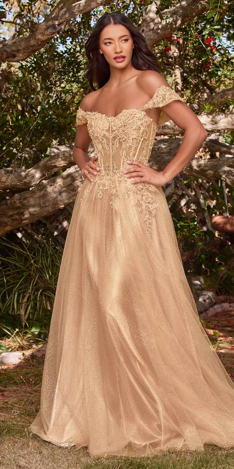 Cinderella Divine CD0198 Long Lace A-Line Gown with Off the Shoulder Sleeves