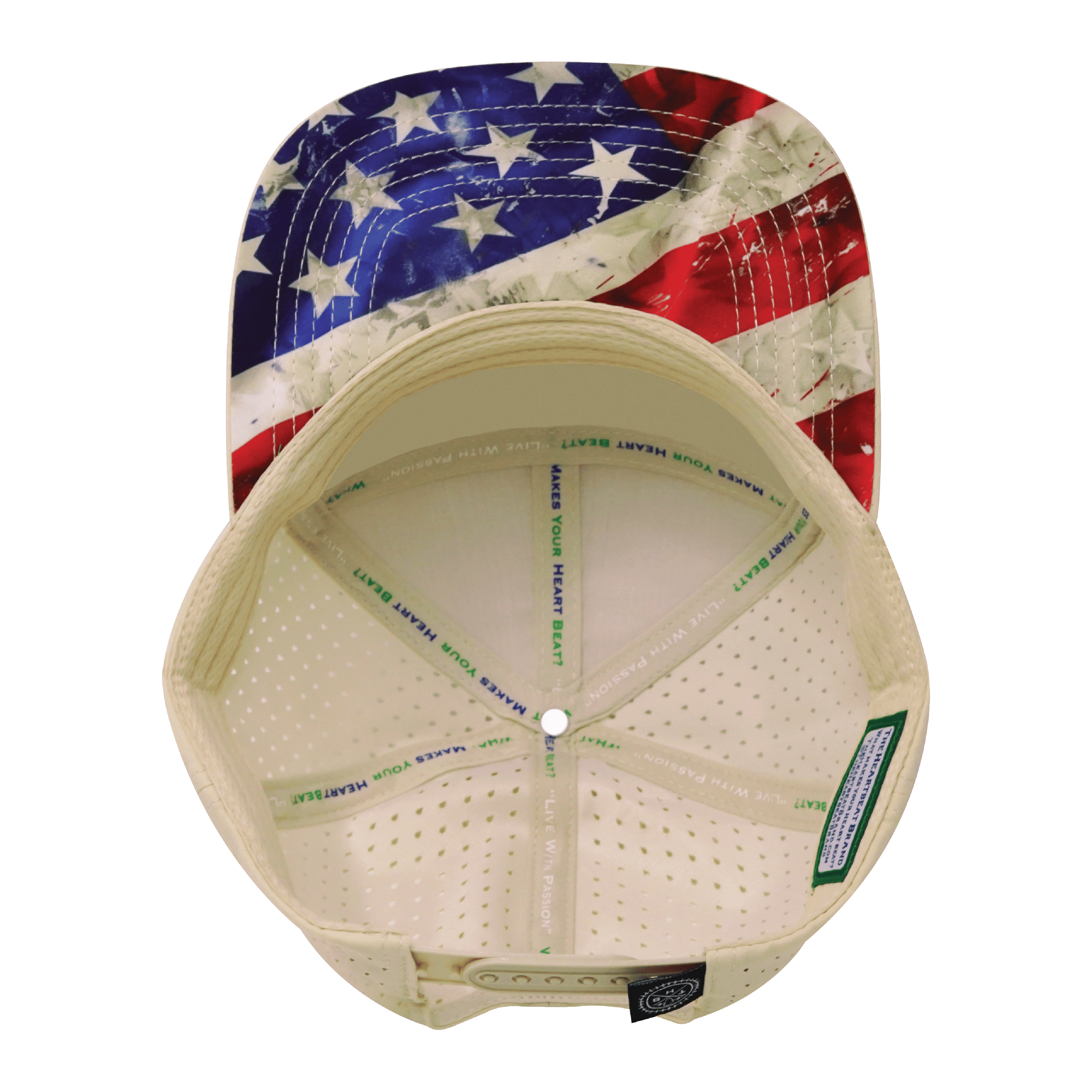 The Heartbeat Brand **ADULT** Color Vibes Hat - Flat Bill - Rugged Flag - Cream - Laser Mesh — back view