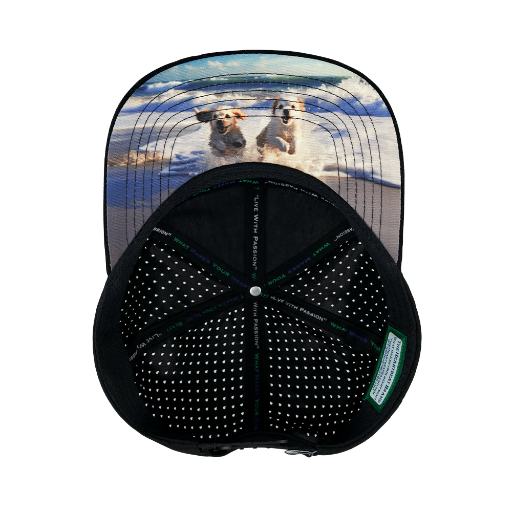 The Heartbeat Brand Dog Hat - Flat Bill - Corduroy - Black / Gray Blue - Laser Mesh — alternative angle