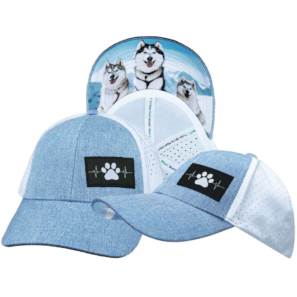 The Heartbeat Brand Dog Hat - Low Profile - Ponytail - Light Blue / White - Laser Mesh — main product shot