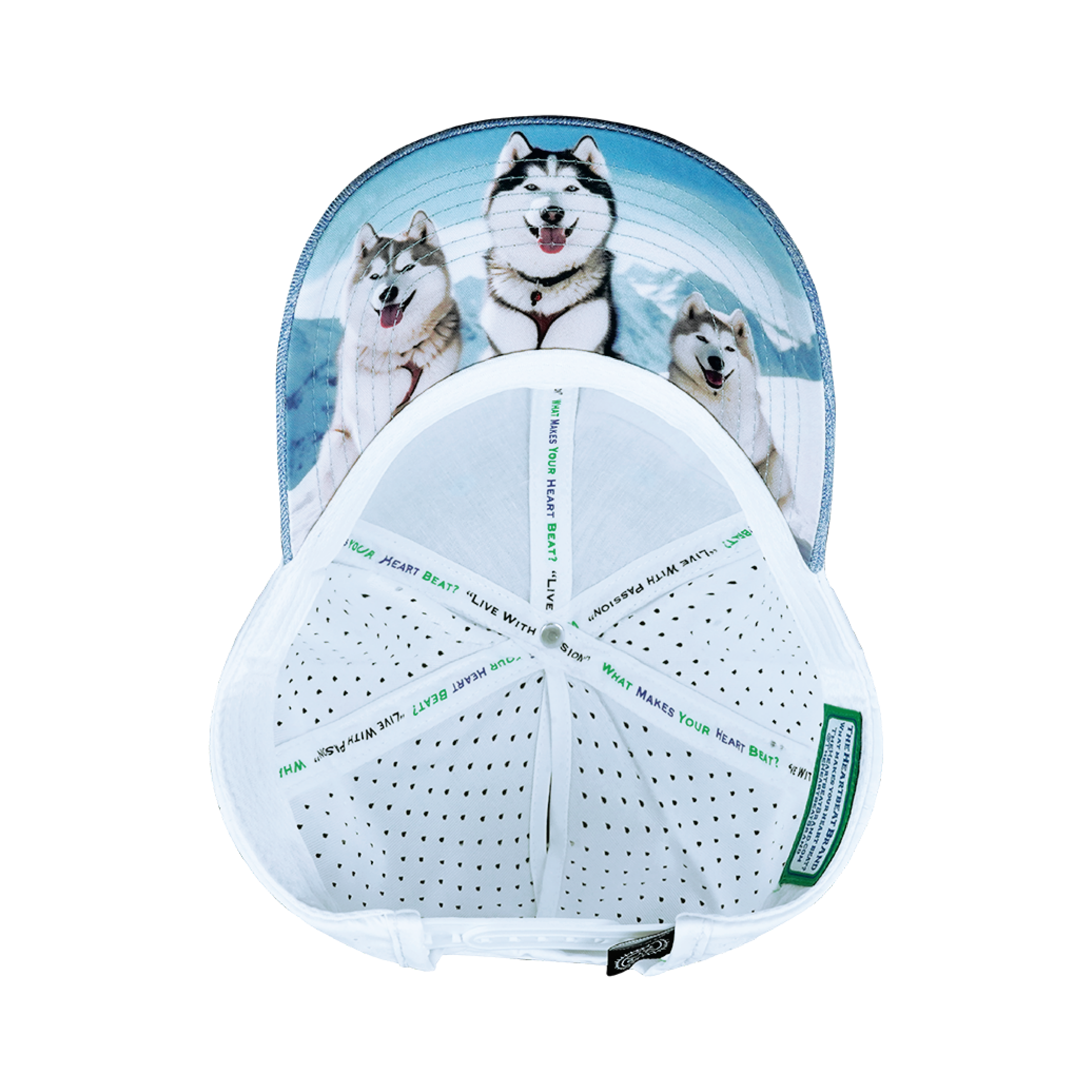 The Heartbeat Brand Dog Hat - Low Profile - Ponytail - Light Blue / White - Laser Mesh — back view