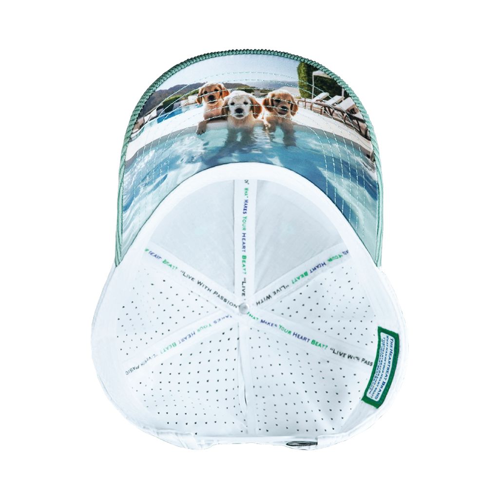 The Heartbeat Brand Dog Hat - Low Profile - Ponytail - Corduroy - Mint  - Laser Mesh — back view