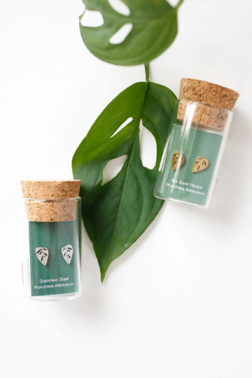 Monstera Adansonii Metal Stud Earrings – Plant Dosage LLC, view 2