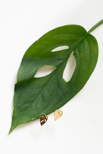Monstera Adansonii Metal Stud Earrings – Plant Dosage LLC, view 5