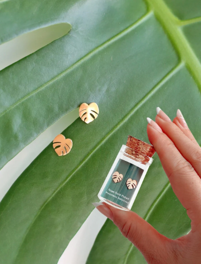 Custom Etched Propagation Stand + 3 Set Tiny Houseplant Earring Studs – Plant Dosage LLC, view 9