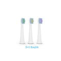 Polosmart Electric Toothbrush: Rechargeable Sonic Toothbrush for Gum Health & Deep Cleaning | 5 Modes, Long Battery, IPX7 Waterproof & USB-C Charging