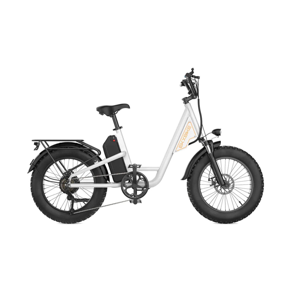 EKX L1 1000W 48V/15.6AH Electric Mountain Fat Tire Bike, 20" (SAK27491) – SAKSBY WHOLESALE