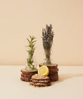 INVIGORATING ESSENTIAL OIL BLEND – makesy®