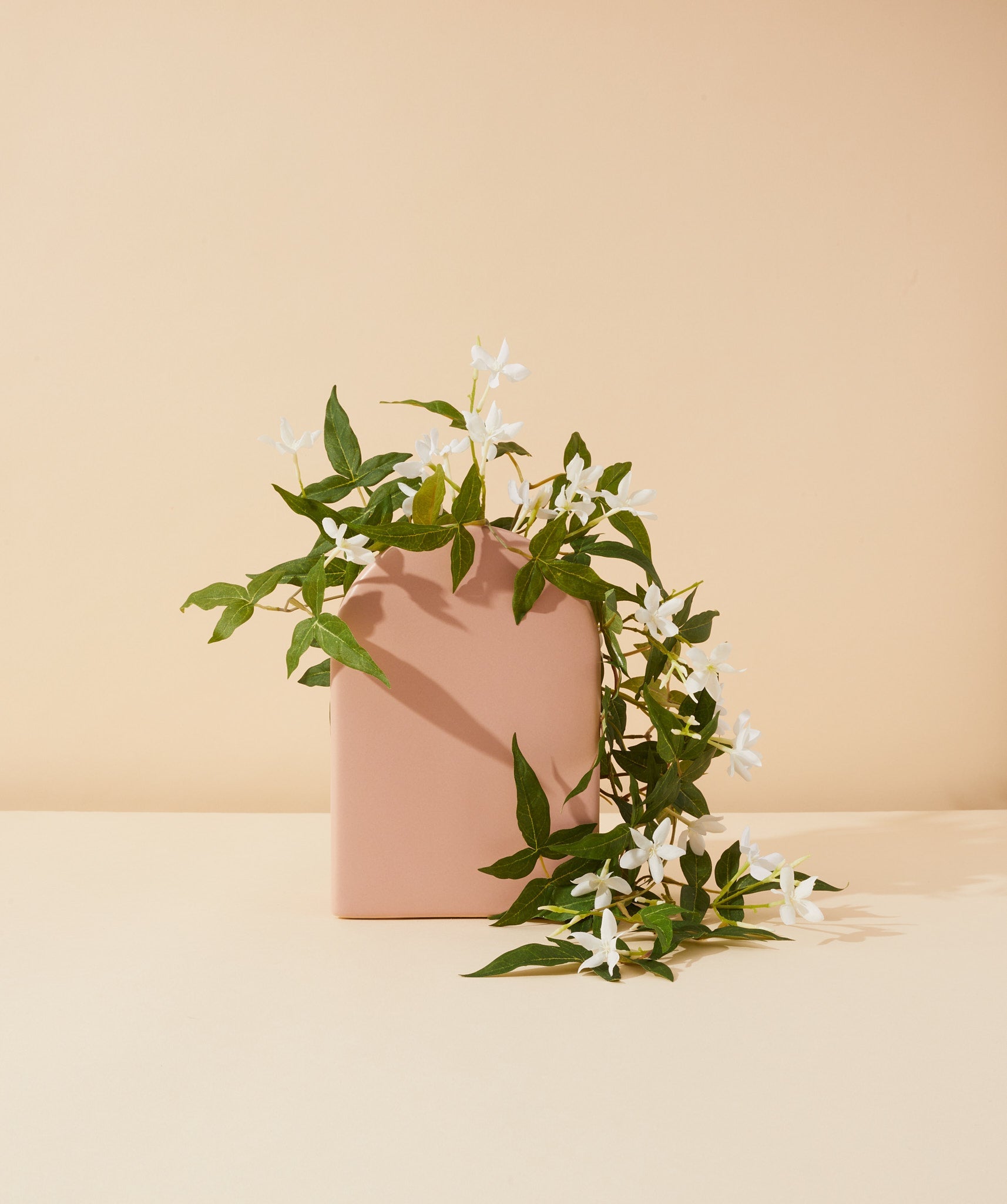 JASMINE ABSOLUTE – makesy®