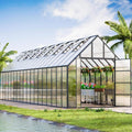 [10X36FT] Extra-Large Heavy-Duty Outdoor Walk-In Greenhouse With Adjustable Roof Vents, 4MM (SAK26174) – SAKSBY WHOLESALE