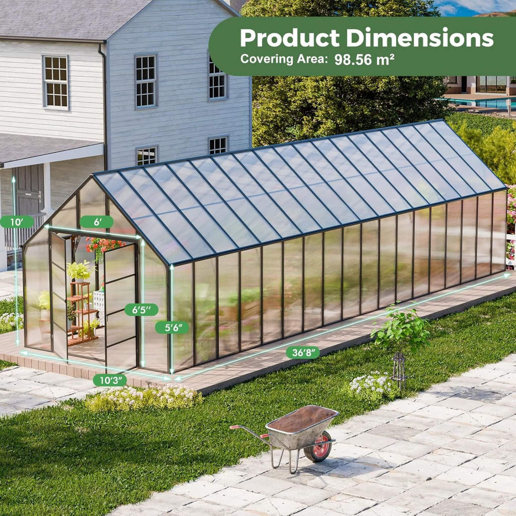 [10X36FT] Extra-Large Heavy-Duty Outdoor Walk-In Greenhouse With Adjustable Roof Vents, 4MM (SAK26174) – SAKSBY WHOLESALE, vi