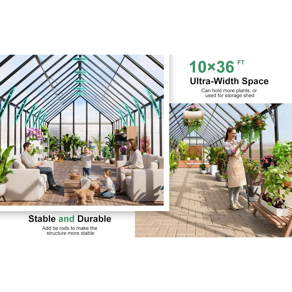 [10X36FT] Extra-Large Heavy-Duty Outdoor Walk-In Greenhouse With Adjustable Roof Vents, 4MM (SAK26174) – SAKSBY WHOLESALE, vi