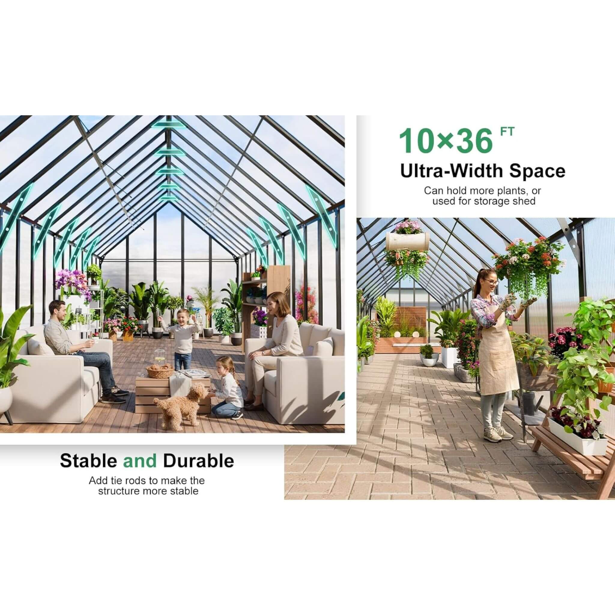 [10X36FT] Extra-Large Heavy-Duty Outdoor Walk-In Greenhouse With Adjustable Roof Vents, 4MM (SAK26174) – SAKSBY WHOLESALE, vi