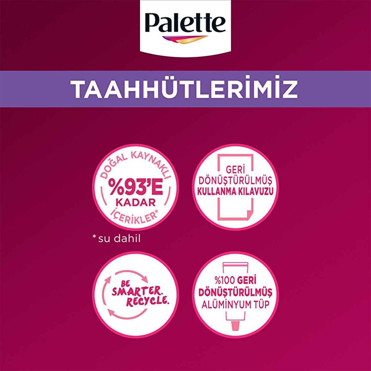 Palette Deluxe U71 Elmas Grisi Hair Dye - Long-Lasting Gray Hair Color with Nourishing Properties