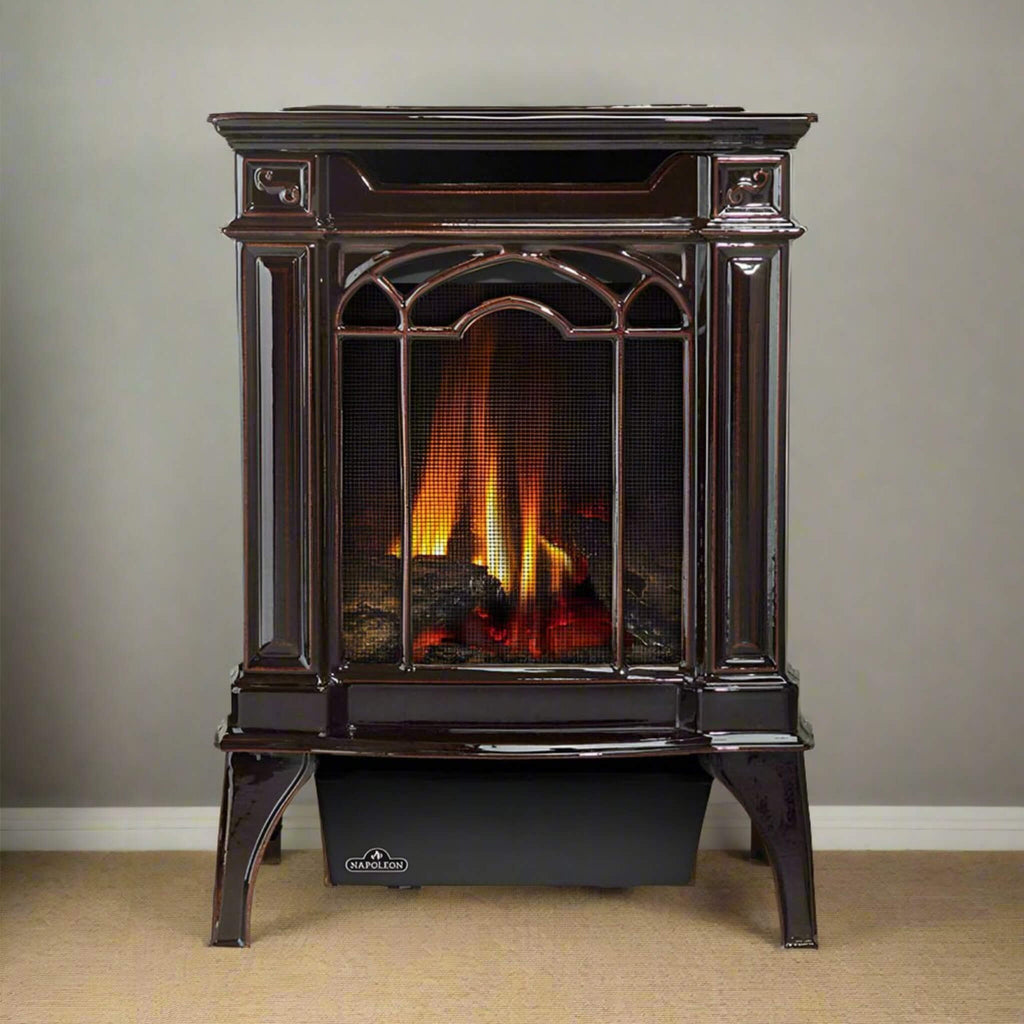 Napoleon Arlington 20 19-Inch Cast Iron Millivolt Ignition Majolica Brown Natural Gas Stove [GDS20NNSB] (SAK43798) – SAKSBY W
