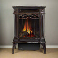 Napoleon Arlington 20 19-Inch Cast Iron Millivolt Ignition Majolica Brown Natural Gas Stove [GDS20NNSB] (SAK43798) – SAKSBY W