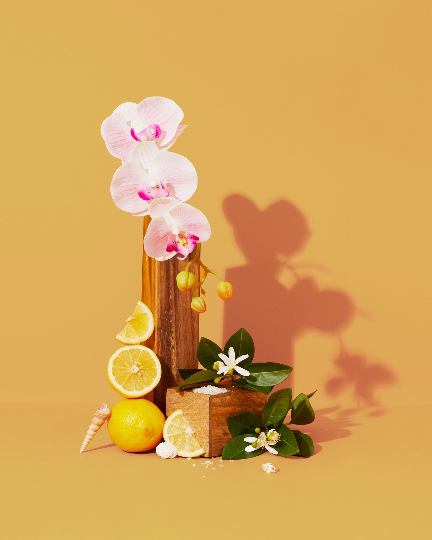 sun lotion & sea breeze™ fragrance oil – makesy®
