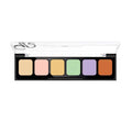 Golden Rose Correct & Conceal Camouflage Cream Palette 6x2g