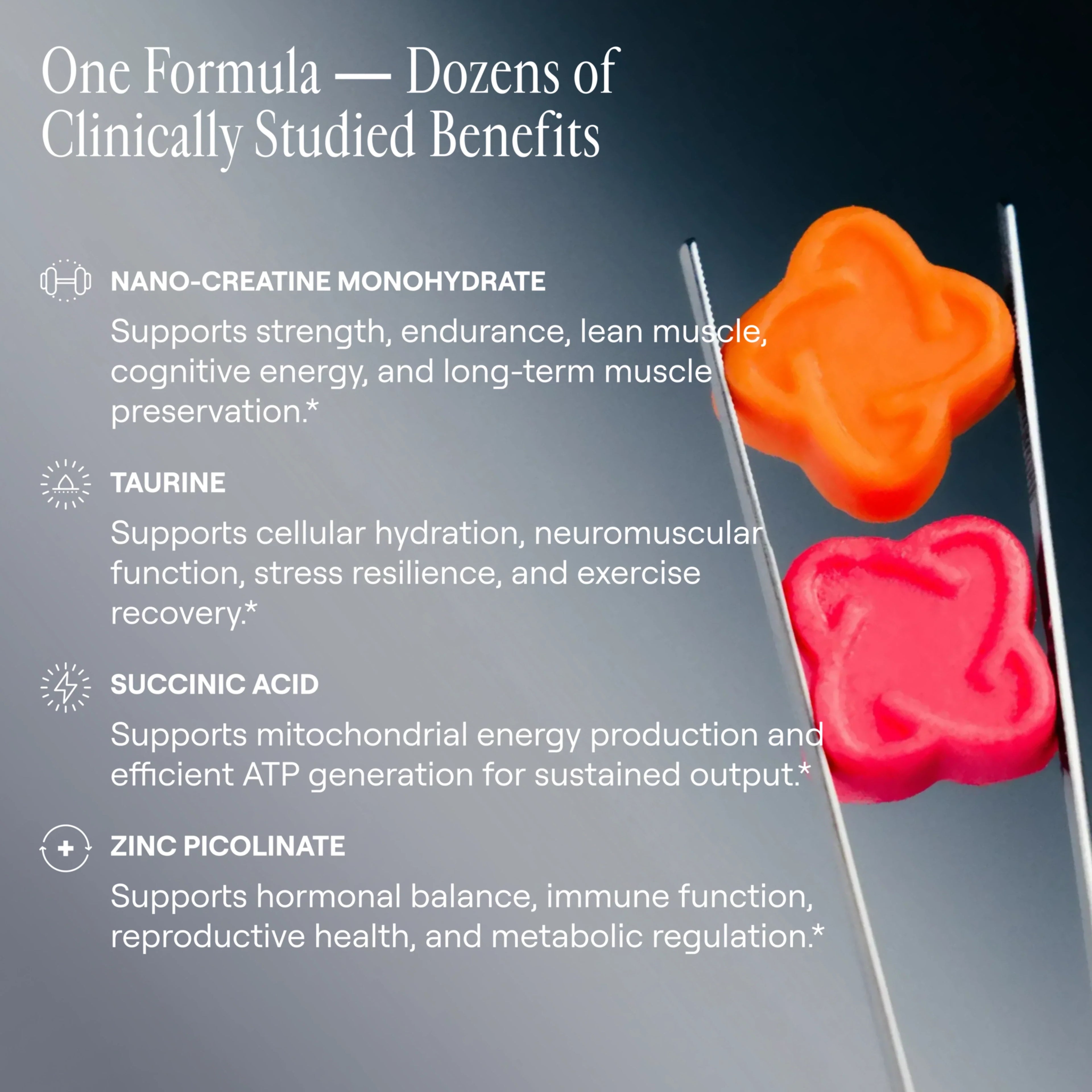 Arq8™ Creatine Monohydrate Gummies, view 9