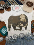 Wild Junkie Hereford Bull Graphic Tee — main product shot