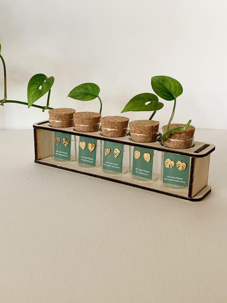 Custom Etched Propagation Stand + 3 Set Tiny Houseplant Earring Studs – Plant Dosage LLC, view 11