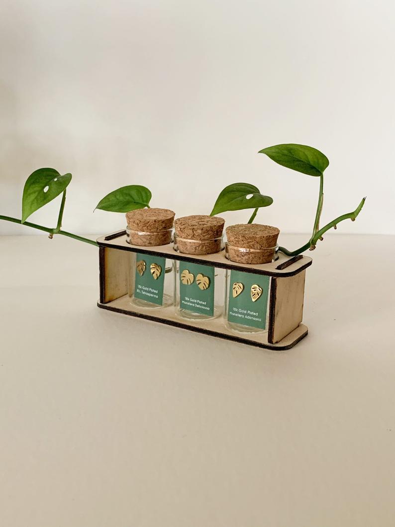 Custom Etched Propagation Stand + 3 Set Tiny Houseplant Earring Studs – Plant Dosage LLC, view 10
