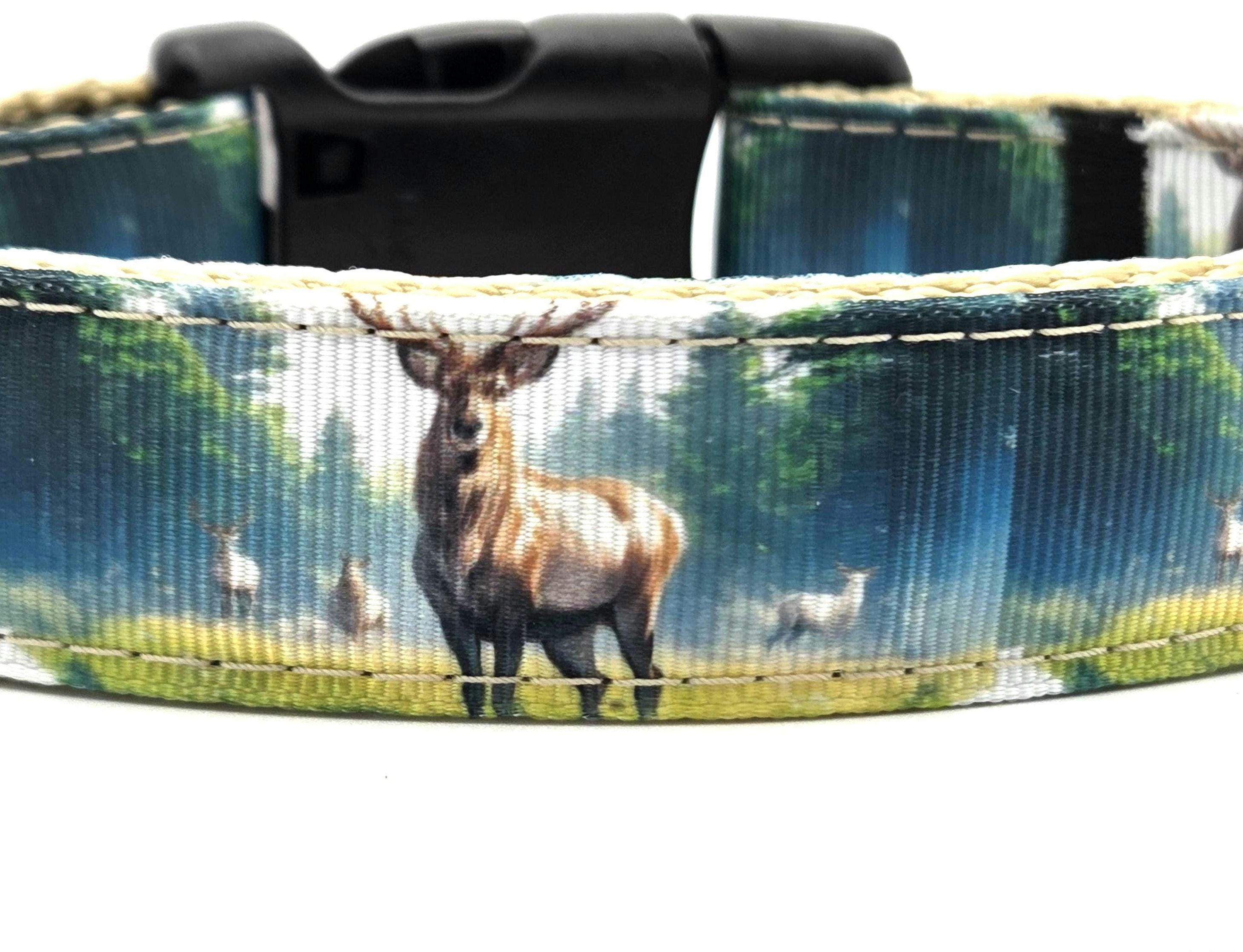 Rewarding Rover LLC Whitetail Deer Buck Dog Collar - Handmade Wilderness Scene - 1 Inch Wide Adjustable - Gift for Hunters & Outdoorsmen — image 2