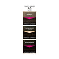 Palette Deluxe 4-0 Kahve Sa� Boyasõ - Professional Brown Hair Dye for Vibrant Color