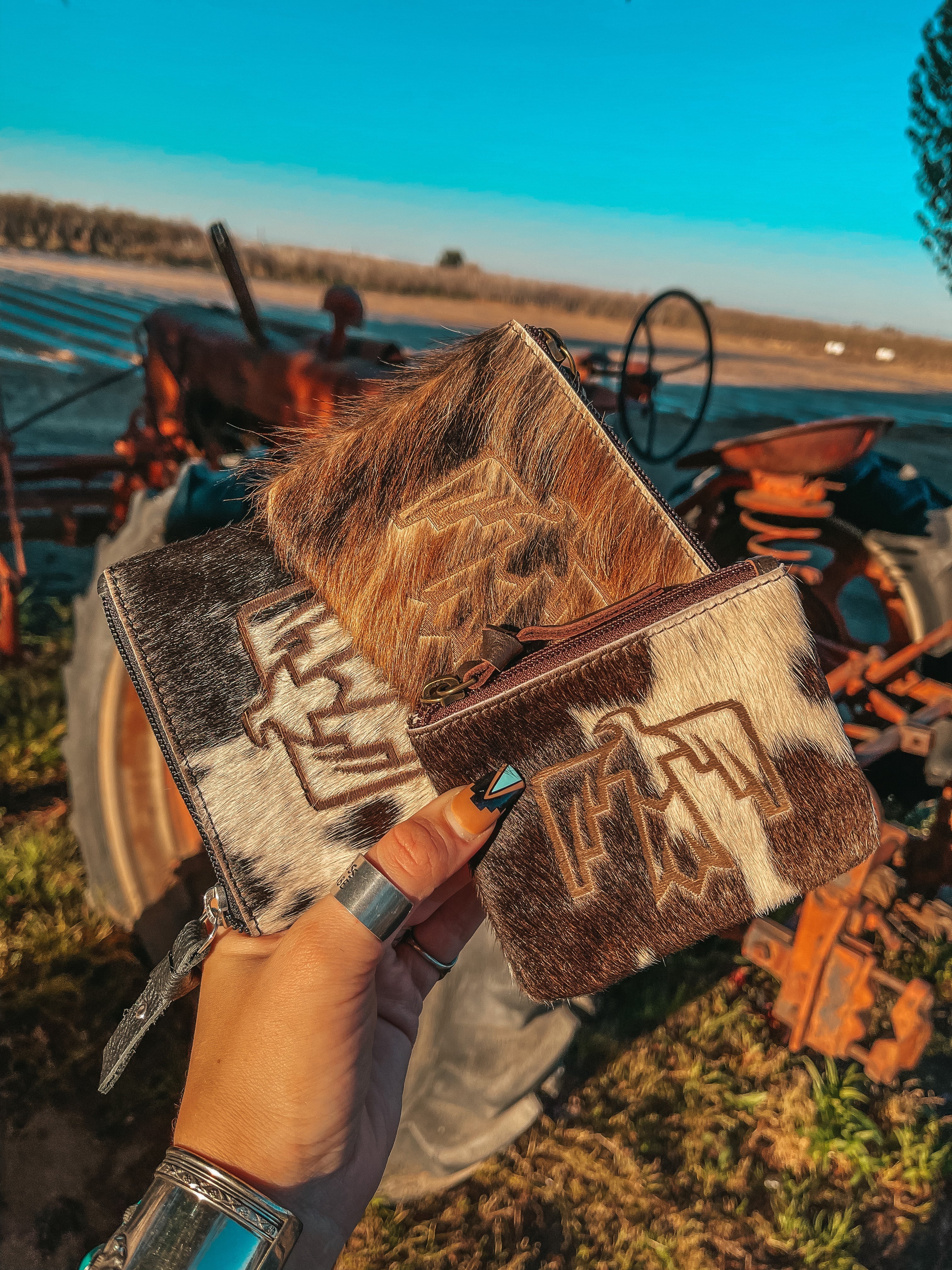 Haute Southern Hyde Thunderbird’ n Go Pouch by Beth Marie — main product shot