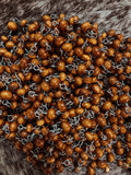 Haute Southern Hyde Replacement Beads — main product shot