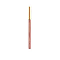 L'Oréal Paris Color Riche Lipstick 601 Worth It - Moisturizing Lip Color with E Vitamin