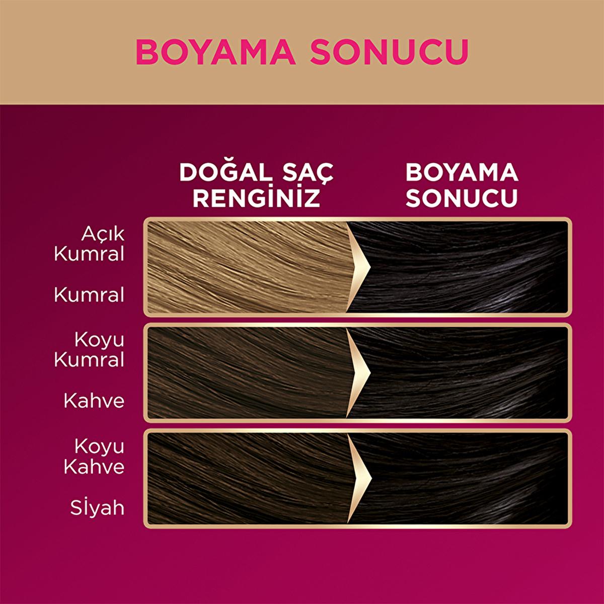 Palette Deluxe: Intense Black Hair Dye 1-0 - Long Lasting Color, Deep Conditioning with Micro Oils, At-Home Permanent Hair Coloring