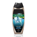 Palmolive Men Arctic Wind 2-in-1 Shower Gel for Face & Hair - Energizing & Refreshing