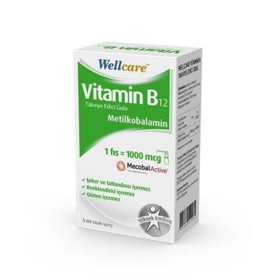 Wellcare Vitamin B12 Supplement - Methylcobalamin Energy Support 5ml