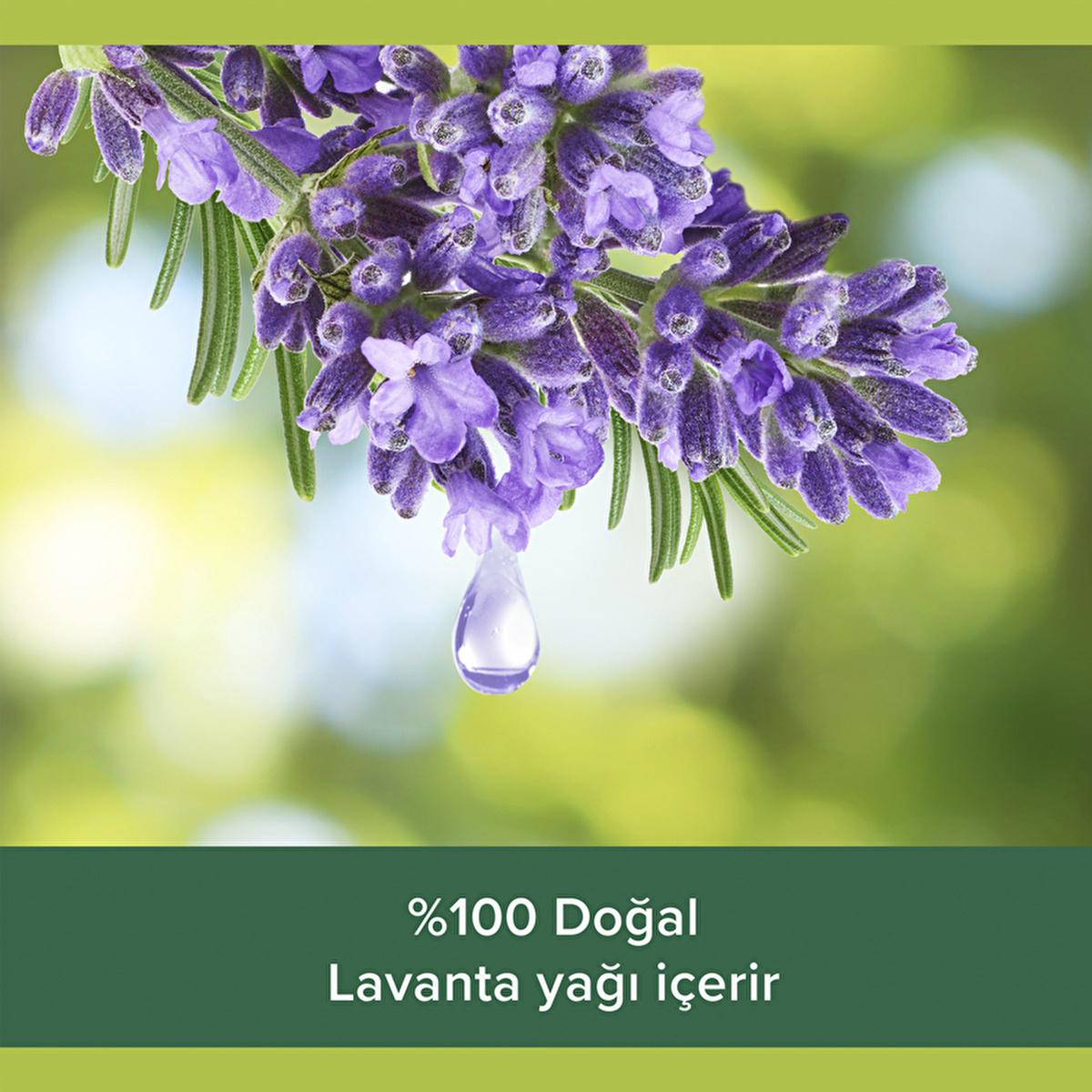 Palmolive Aroma Sensations So Relaxed Aromatic Shower Gel - Natural Ingredients, Lavender & Ylang Ylang - 16.91 fl oz
