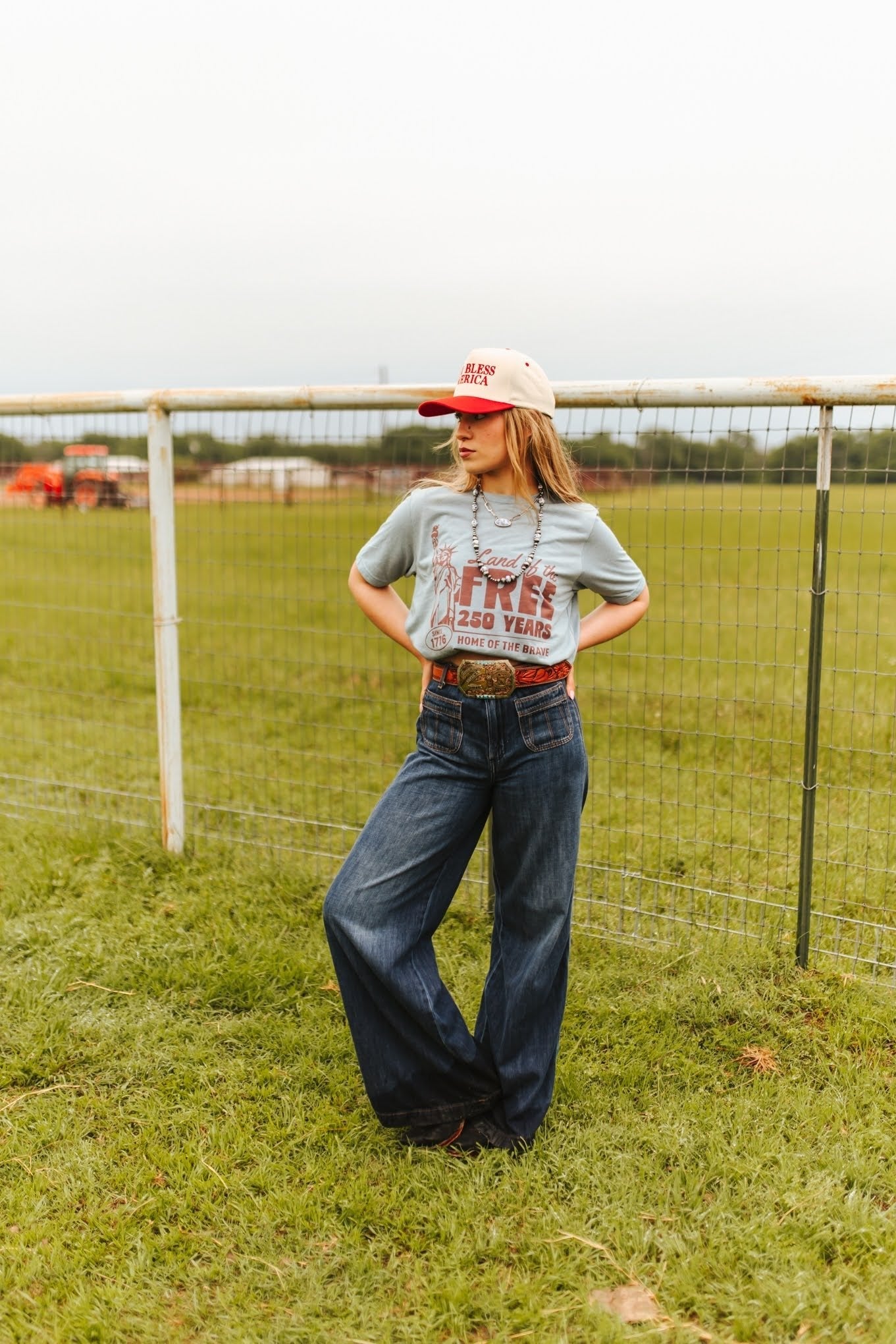 Wild Junkie Land of the Free 250 Years Graphic Tee — graphic tees category context