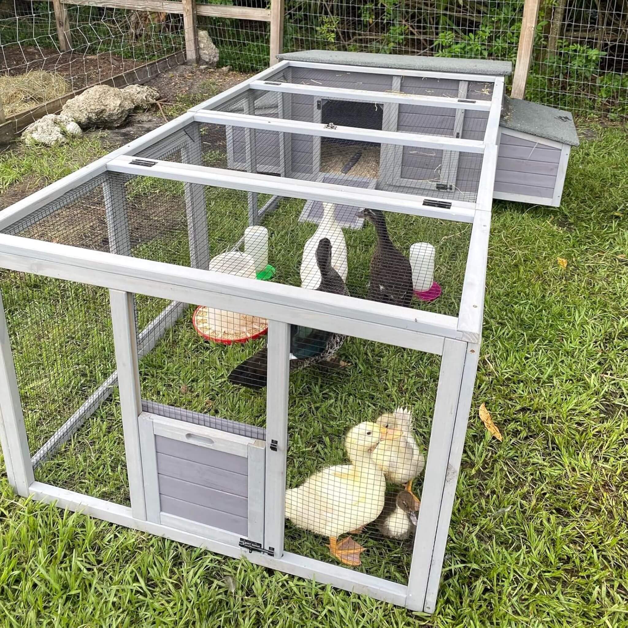 Large 103-Inch Outdoor Chicken Coop House With Run And Nesting Box [4-6 Chickens] (SAK53194) – SAKSBY WHOLESALE, view 3