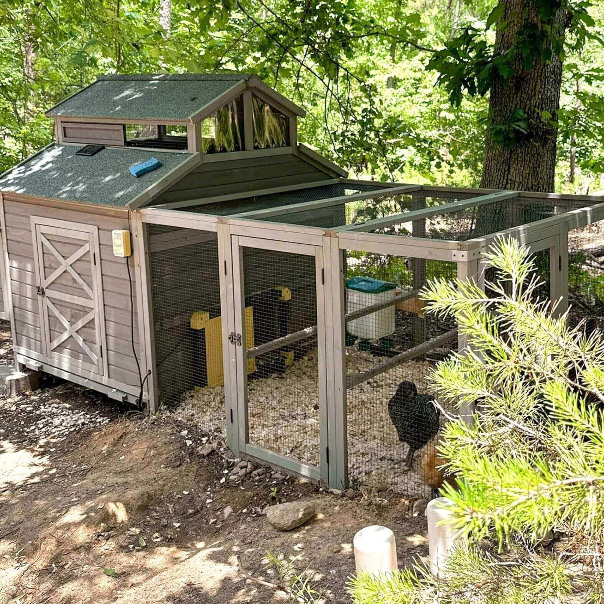 Large 115-Inch Portable Chicken Coop With Run And Nesting Boxes [8-10 Chickens] (SAK18263) – SAKSBY WHOLESALE, view 3
