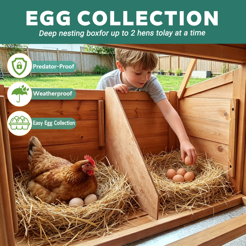 Large 122-Inch Chicken Coop With Run, Nest Box & Removable Tray For 4-6 Hens (SAK19542) – SAKSBY WHOLESALE, view 3