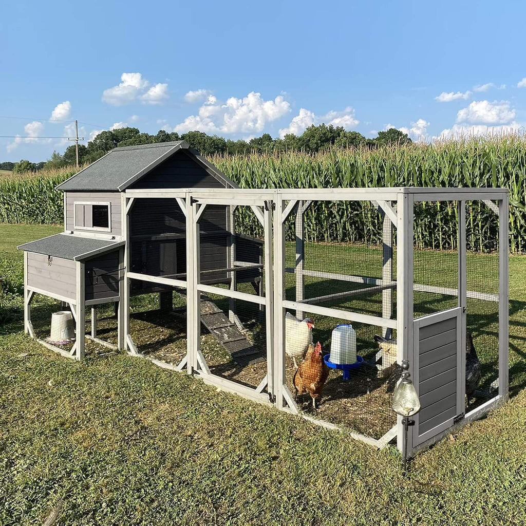 Large 137-Inch Wooden Chicken Coop With Run And 6 Nesting Boxes [10-15 Chickens] (SAK96430) – SAKSBY WHOLESALE