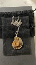 Just Neat Stuff Ammonite Spiral Necklace — main product shot